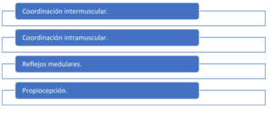 Esquema TRX